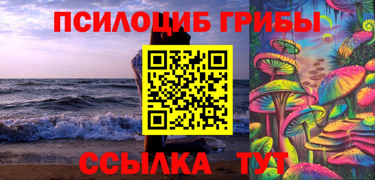 Галлюциногенные грибы ЛСД  Галлюциногенные грибы Psilocybine cubensis  хочу наркоту  Вход с VPN  Гусев 