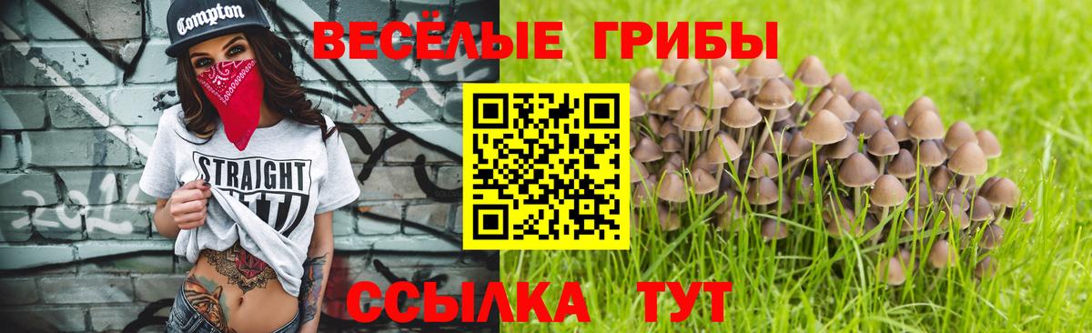 Галлюциногенные грибы ЛСД Гусев